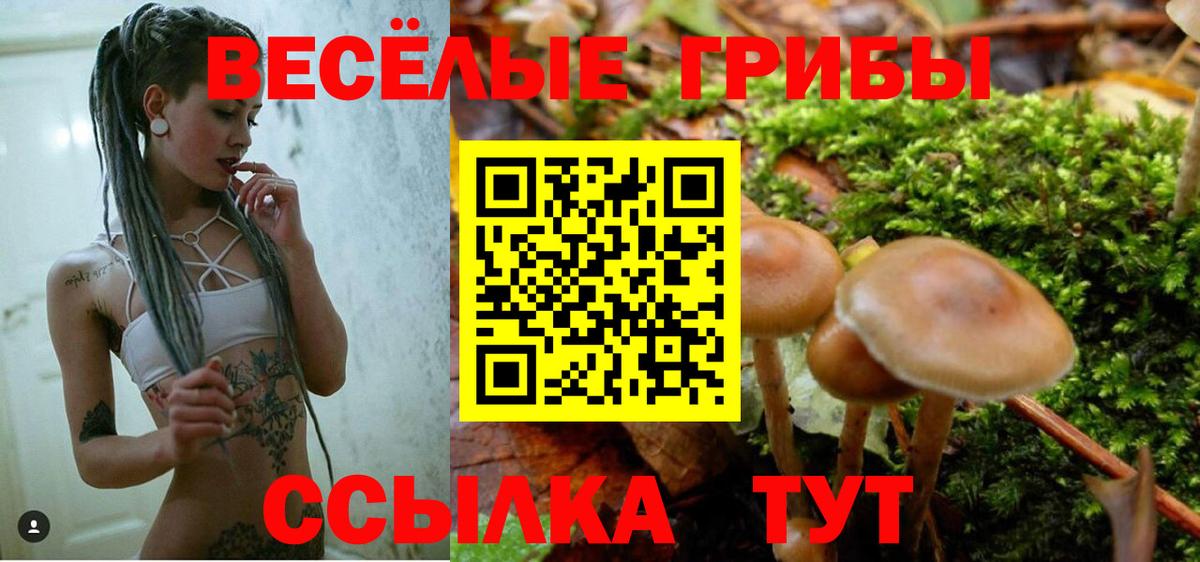 Галлюциногенные грибы Cubensis  где продают   Салехард  Вход с VPN 