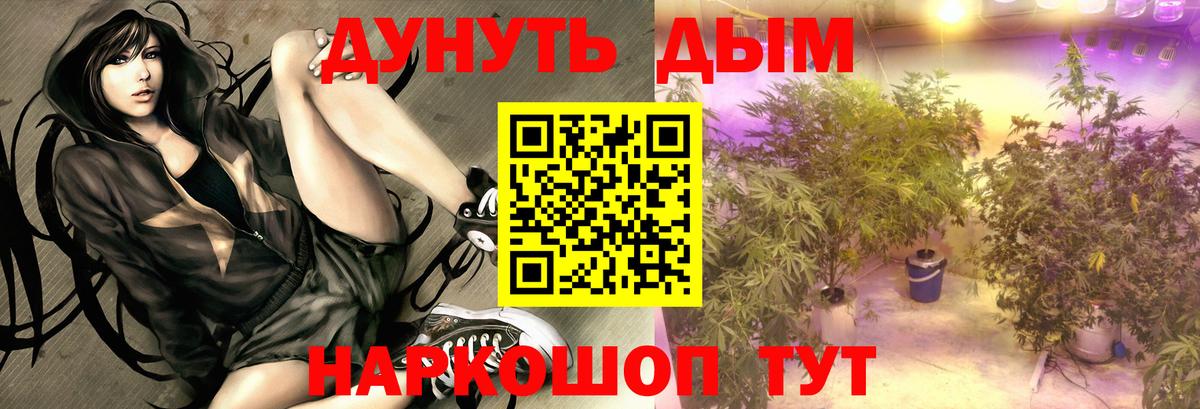 МАРИХУАНА тримм  Бошки Шишки Ganja  Вход с VPN  Салехард 